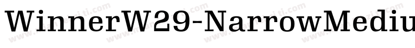 WinnerW29-NarrowMedium Regular字体转换